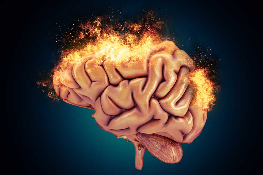 Şizofreni ve Beyin Araştırmaları